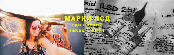прущие грибы Пролетарск