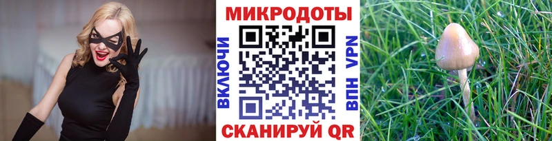 Псилоцибиновые грибы Psilocybine cubensis  купить наркотики цена  Струнино 