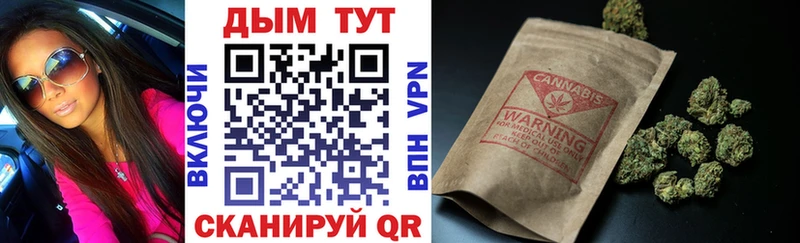 как найти   Струнино  Бошки марихуана Amnesia 